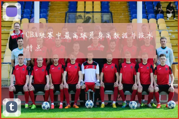 CBA联赛中最高球员身高数据与技术特点