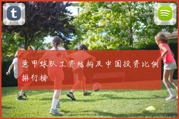 意甲球队工资结构及中国投资比例排行榜