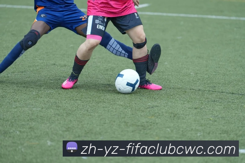 世界杯平台服务体系